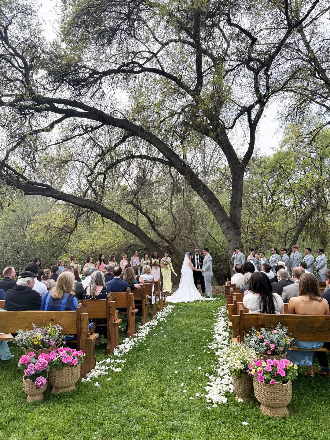 An outdoor wedding ceremony under sweeping oak trees, the couple at the altar with the wedding party beside them, guests in wooden pews, and a petal-lined aisle framed by baskets of wildflowers.